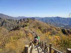 -大岭沟猕猴桃谷风景区