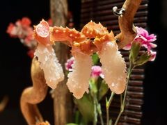 -蟹犇前•帝王蟹雪蟹(陆家嘴店)