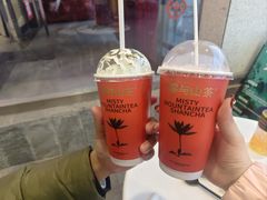 -雾与山茶(大禹城店)