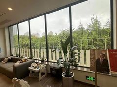 -刘健艺术钢琴学校·专注钢琴教育25周年(徐家汇校区)