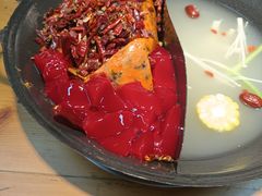 -阳阳老火锅(小南门店)