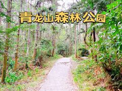 -青龙山国家森林公园