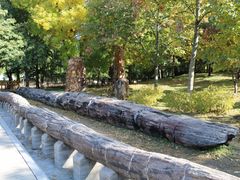 景点-北京动物园
