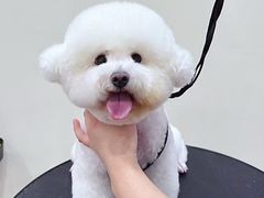 -BABIT巴比特宠物(MOMOPARK店)