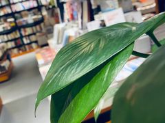 -西西弗书店(城西银泰城店)