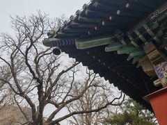 -潭柘寺景区