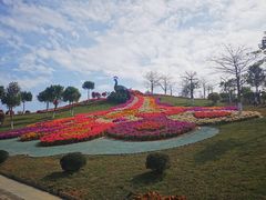 -东莞植物园