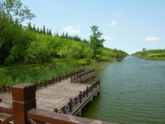 -黄海国家森林公园