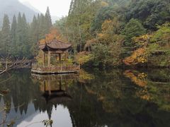 -宁海安岚·南溪阁全日餐厅