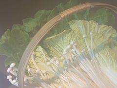 -同仁四季椰子鸡(无锡滨湖万象汇店)
