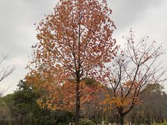 -江南大学(蠡湖校区)