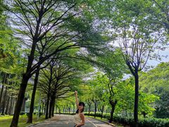 -顺德职业技术大学