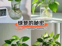 -济南植物园