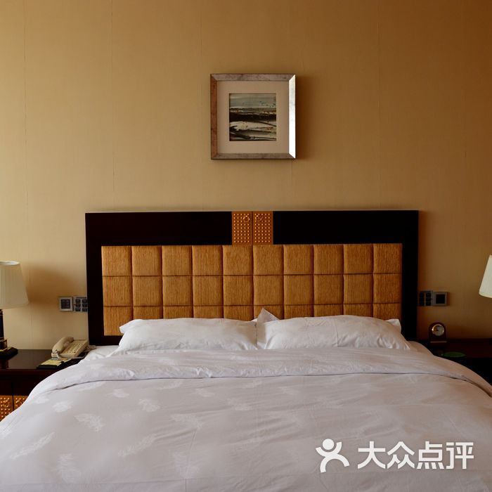 大成路九号酒店图片-北京豪华型-大众点评网