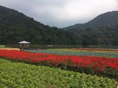 -广州市石门国家森林公园
