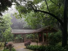 -广州市帽峰山景区