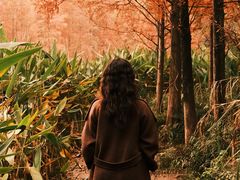 -白鹭湾湿地公园