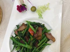 芥兰炒肥叉-天鲜阁·海鲜粤菜·33年老字号(石槎白云站店)