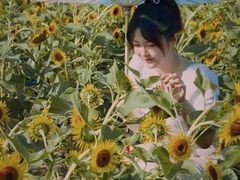 -汉长安城未央宫国家考古遗址公园