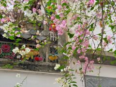 -深圳国际园林花卉博览园