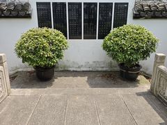-南翔古镇