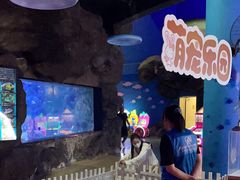 -烟台海昌鲸鲨海洋公园