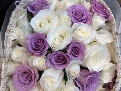 -双季花艺园艺市场(浦东店)