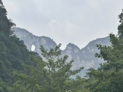 -明仕田园