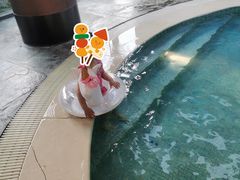 -上海佘山世茂艾美酒店