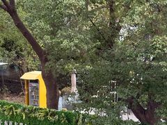 -上海可达汽车销售服务有限公司