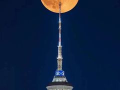 -BLUEO蓝猩先生·正品授权店(凯德Mall店)