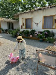 -DORA kids 朵拉儿童摄影花园店