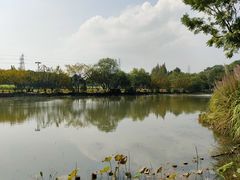 -八卦田遗址公园