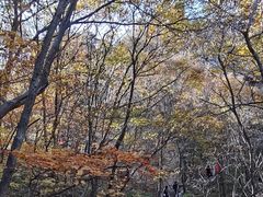 -大连天门山国家森林公园