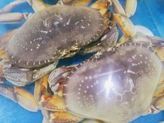 -亚龙湾8号(丁村万人海鲜广场店)