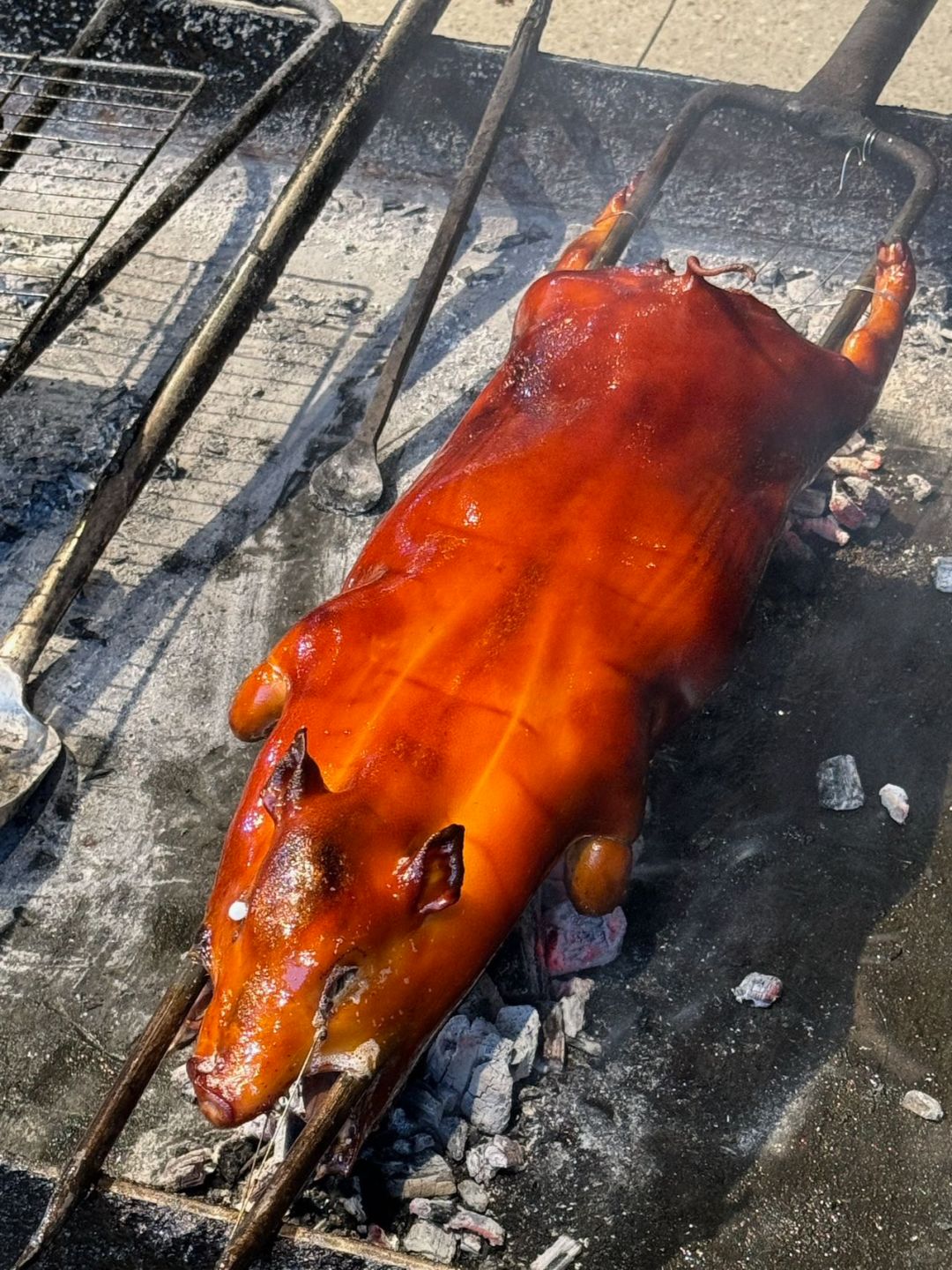 来三亚一定要吃这个味的烤乳猪 香迷糊了