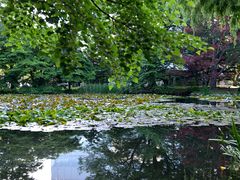 -北海道厅旧本厅舍(旧本庁舎)