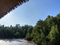 -大亚湾红树林城市湿地公园