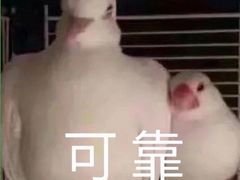 -台湾味正点车轮饼可丽饼(南禅寺店)