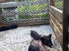 -珠海海泉湾神秘岛亲子乐园