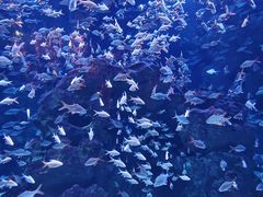 -成都浩海立方海洋公园