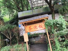 -茶泡饭(李子坝店)