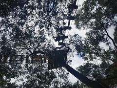 -芦仙山景区-飞越丛林探险乐园