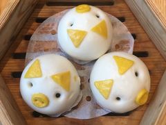 -美食小镇·观赏珍稀鸟类·长隆熊猫酒店