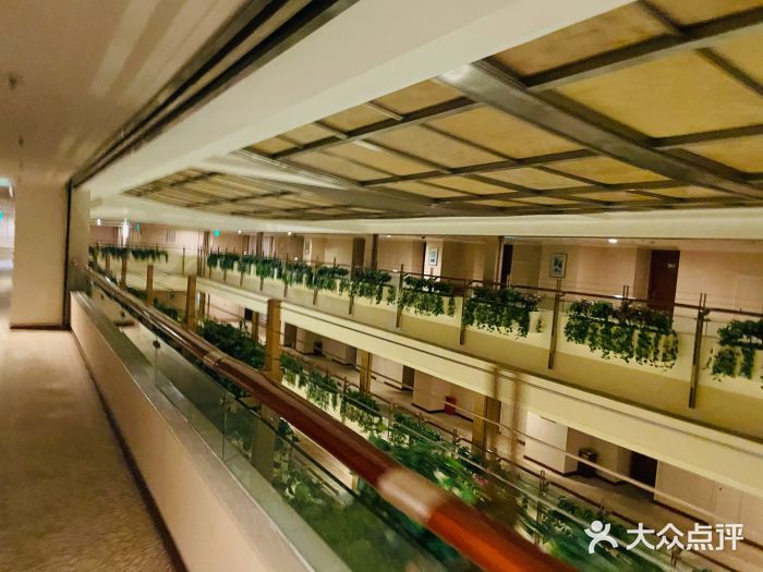 深圳维景酒店图片