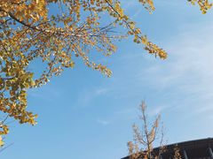 -浙江农林大学(东湖校区)