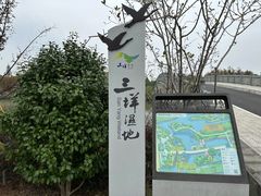 -三垟湿地