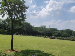 -东莞植物园