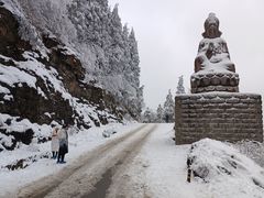 -武陵山森林公园