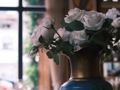 -一棵树·意大利西餐厅One Tree(新城店)